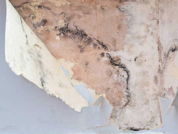 Rising Damp Treatment