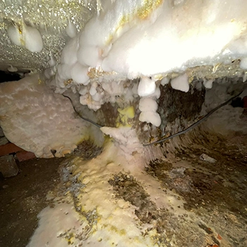 attic-mould-before-treatment-small Very advanced attic mould due to lack of treatment.